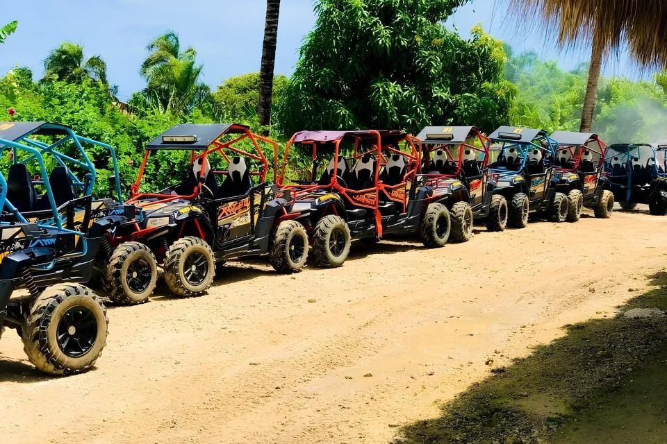 Punta Cana: Buggy Tour With Beach and Cenote - Just The Basics