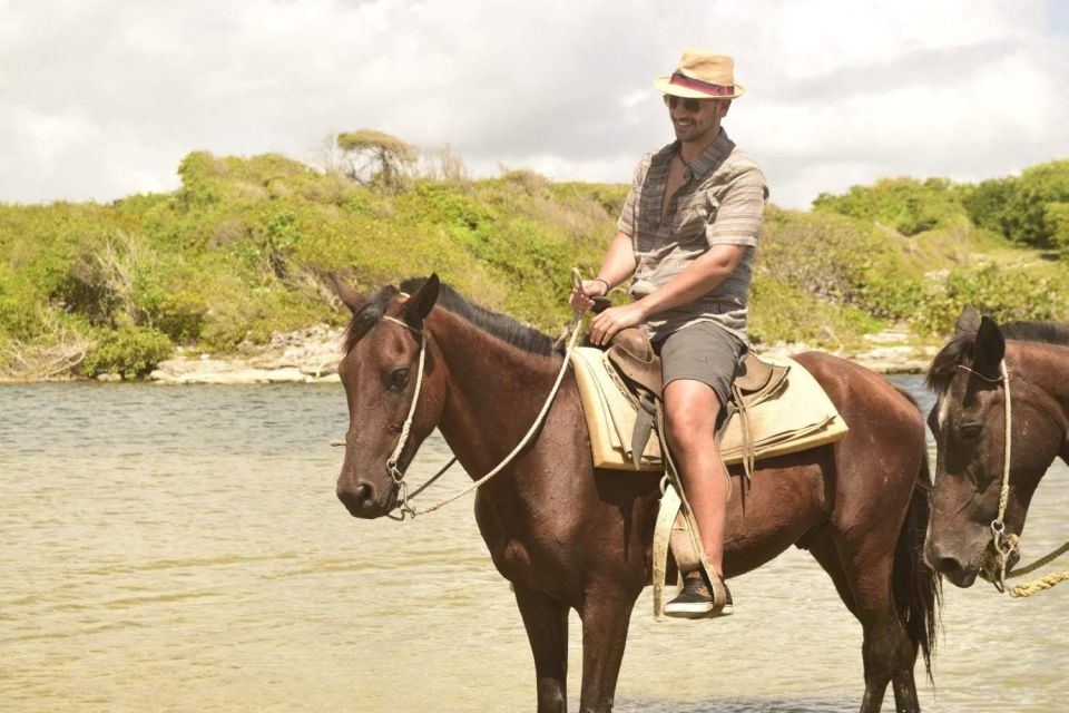 Punta Cana: Horseback Riding Amazing Adventure - Experience and Activities