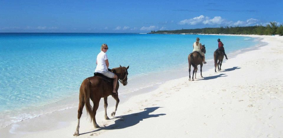 punta cana horseback riding through the beautiful beaches Punta Cana: Horseback Riding Through the Beautiful Beaches