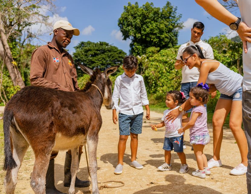 Punta Cana: Zipline, Chairlift, Buggy & Horse Ride Adventure - Just The Basics