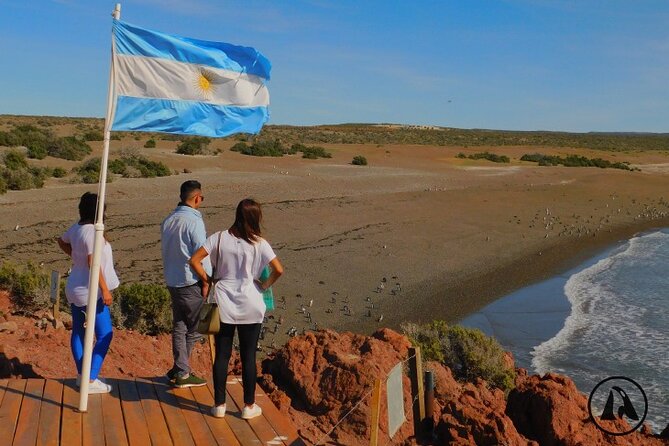 Punta Tombo With Puerto Madryn Shore Excursions Tours - Key Points