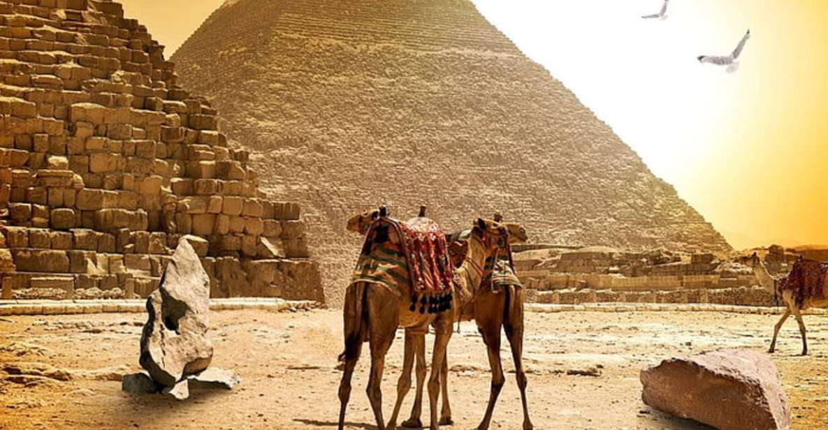 Pyramids, Sakkara & Memphis Private Tour With Lunch - Key Points