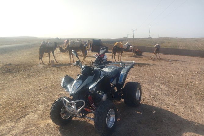 Quad Biking & Camel Ride Agafay Desert With Lunch or Dinner - Key Points