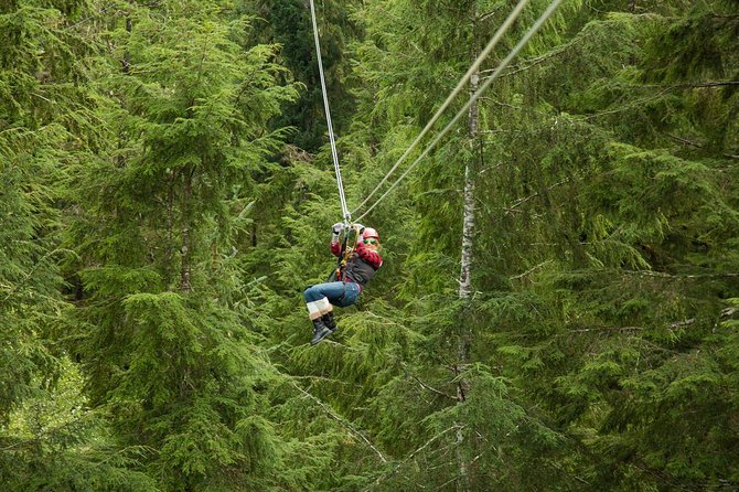 Rainforest Zip, Skybridge & Rappel Adventure in Ketchikan, AK - Just The Basics