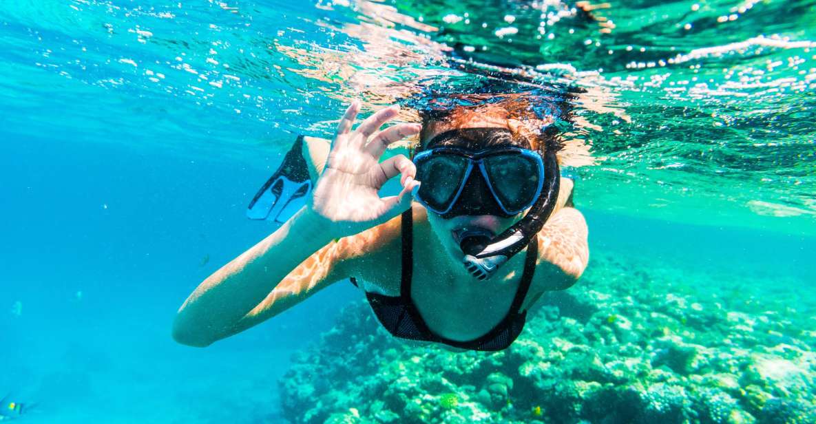 Ras Muhammad National Park: Snorkeling With Optional Dive - Key Points