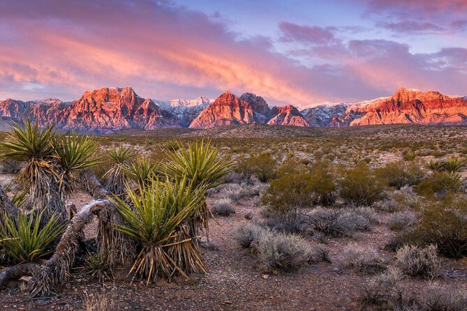 Red Rock Canyon Small-Group E-Scooter Tour From Las Vegas - Key Points