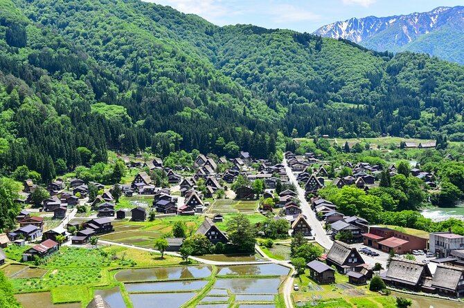 [Regular Sightseeing Bus] World Heritage Shirakawa-go and Gokayama Ainokura - Key Points