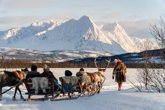 Reindeer Sledding and Feeding With Sami Culture in Tromso. - Key Points