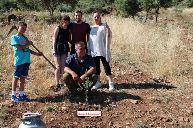 Rethymnon Olive Tree Sponsorship Protect and Plant Tour - Tour Confirmation and Accessibility