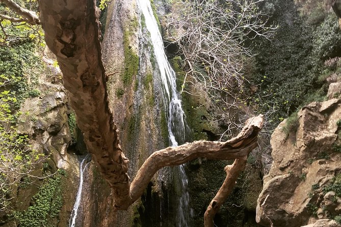 Richtis Waterfall, Minoan History, Oldest Tree, North Coast (Luxury Adventure) - Just The Basics