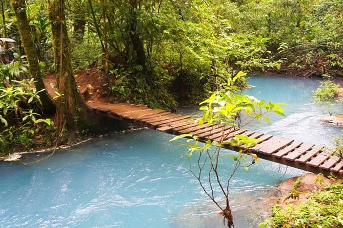 Rio Celeste Hiking, Sloth Sanctuary & Llanos De Cortes Waterfall Tour - Tour Details