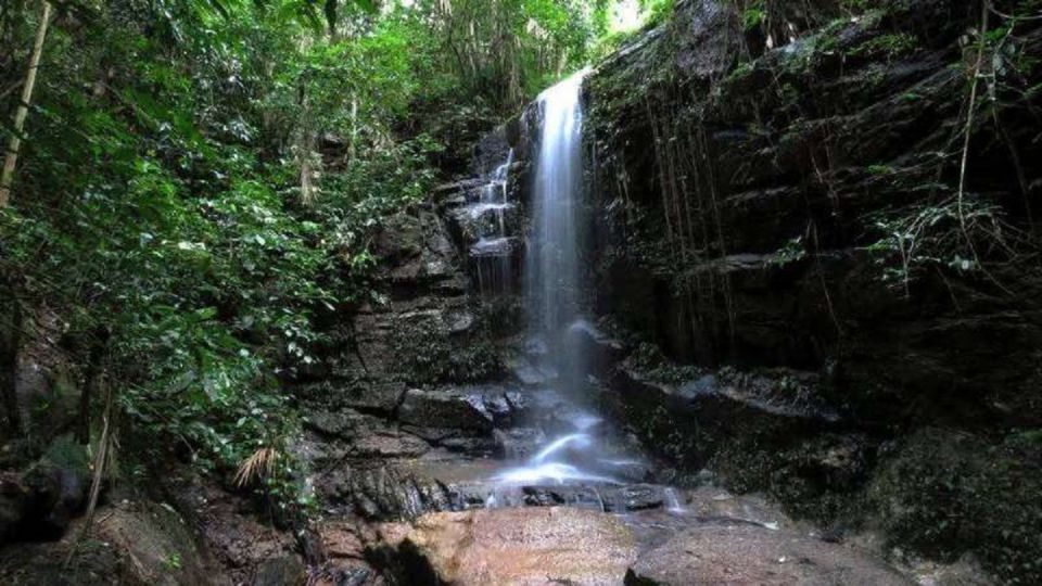 Rio De Janeiro: Tijuca National Park Ecotour - Pickup and Drop-off Locations