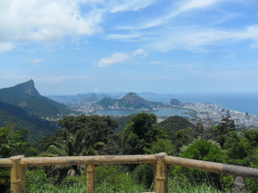 Rio De Janeiro: Tijuca's Peak Hiking Tour - Key Points