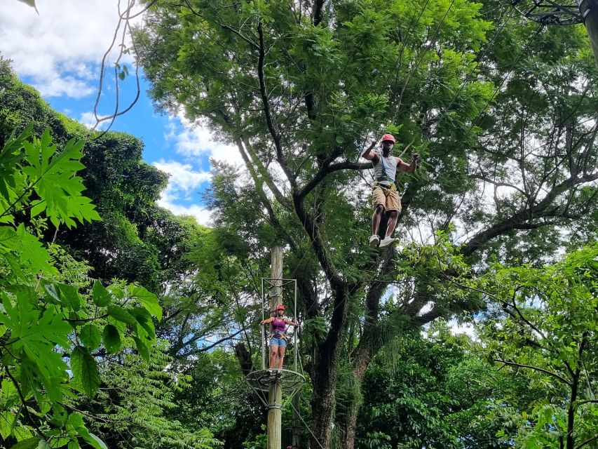 Rio De Janeiro: Zip Lining and Canopy Tree Tour - Key Points