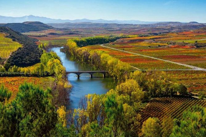Rioja Alta and Rioja Alavesa Wine Tour - Just The Basics