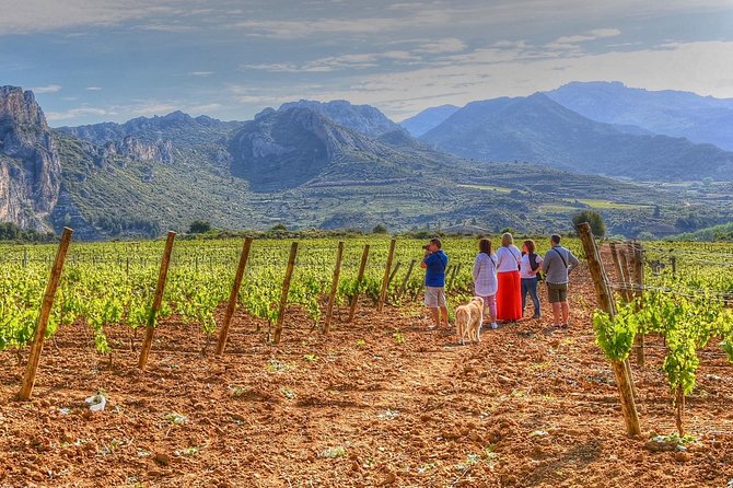 Rioja Like A Native Wine Tour - Just The Basics