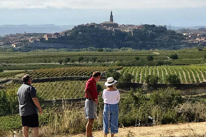 Rioja Wineries and Laguardia Tour With Picnic From San Sebastian - Just The Basics