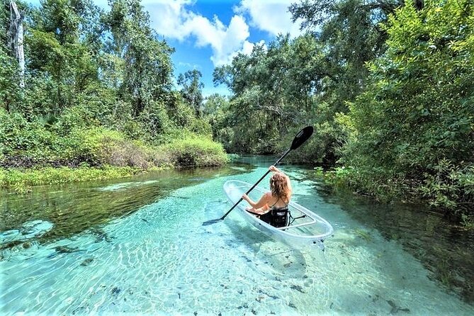 Rock Springs 2-Hour Glass Bottom Guided Kayak Eco Tour - Good To Know