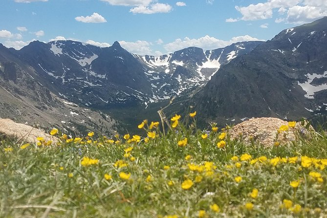 Rocky Mountain National Park in Summer Tour From Denver - Just The Basics