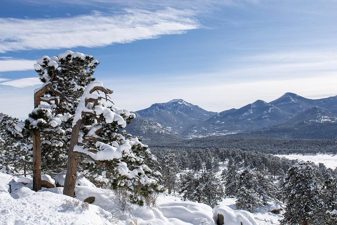 rocky mountain national park tour winter in the park estes park guided tours Rocky Mountain National Park Tour - Winter In The Park - Estes Park Guided Tours