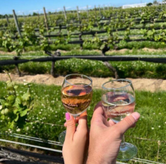 Ronkonkoma: North Fork Wineries Tour With Tastings and Lunch - Key Points