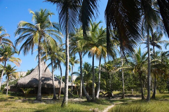 Rosario Islands Excursion With Lunch on a Private Island - Key Points