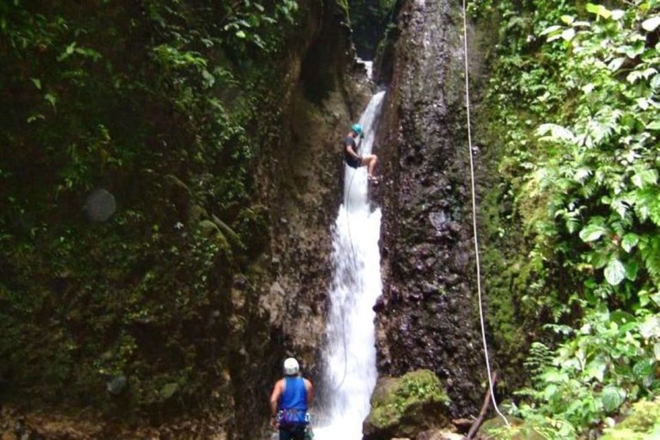 Roseau: Canyoning Discovery Tour - Key Points