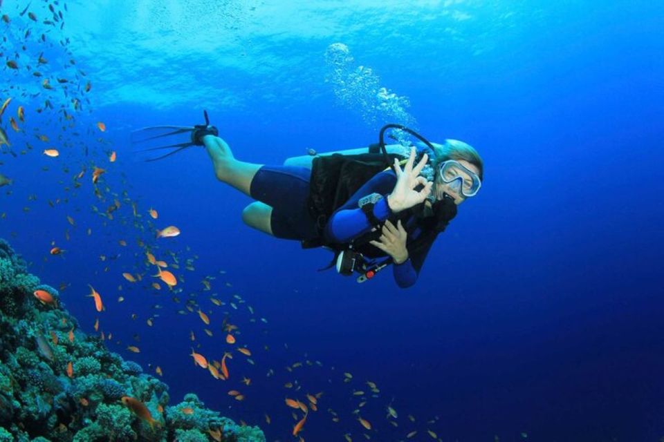 Roseau: Discover Scuba Diving Experience - Key Points