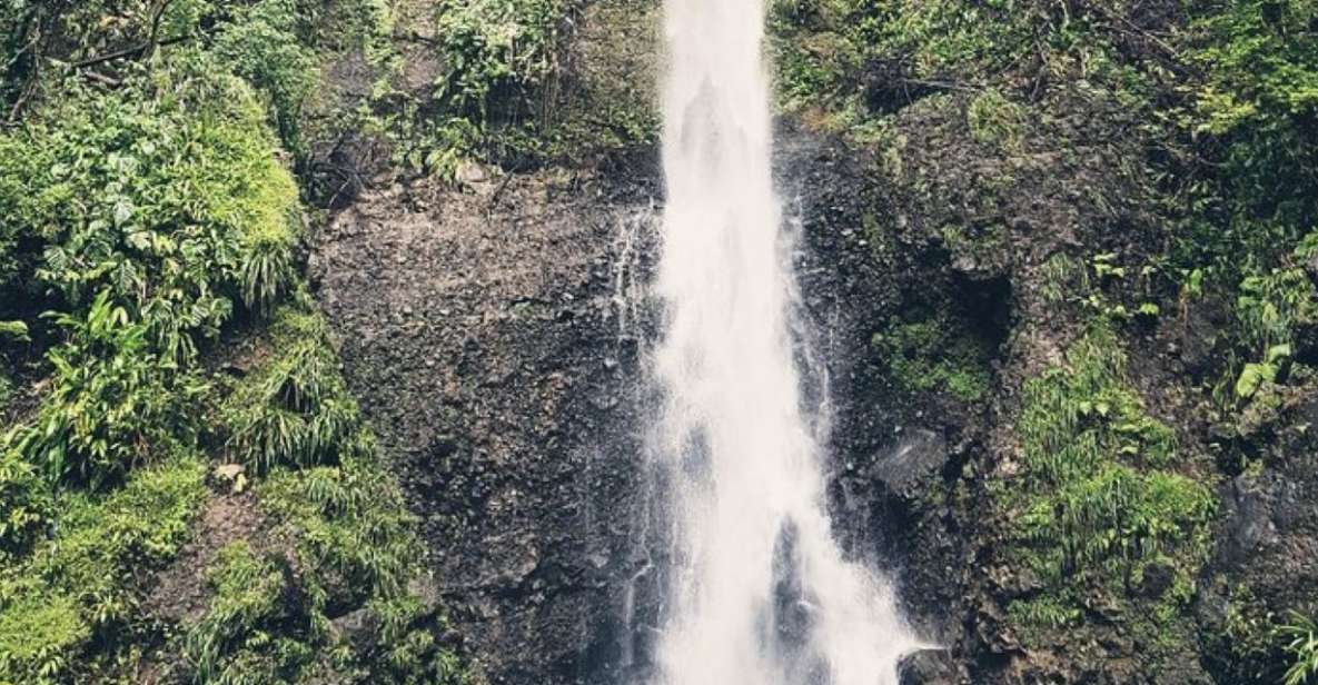 Roseau: Middleham Falls and Titou Gorge Half-Day Hiking Trip - Key Points