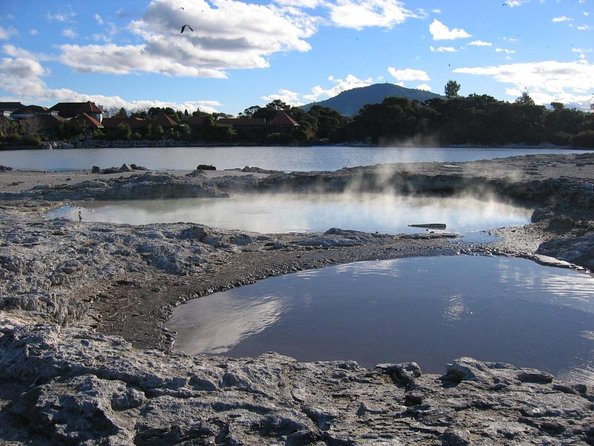 Rotorua Day Trip From Auckland With Options - Smaller Groups - Key Points