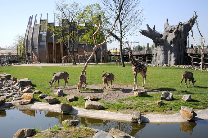 Rotterdam Zoo Diergaarde Blijdorp Direct Entrance Ticket - Key Points