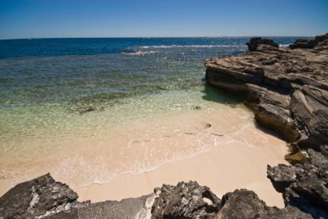 Rottnest Island Scenic Flight or 1/2 Day Stopover - Key Points