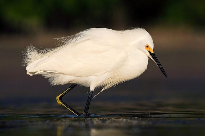 Safari Float and Wild Life Experience in Arenal - Pickup Information