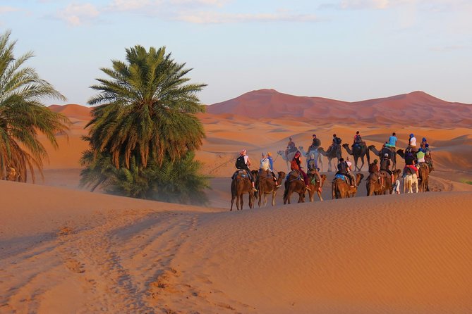 Sahara Desert Tour to Merzouga - 3 Days From Marrakech - Key Points