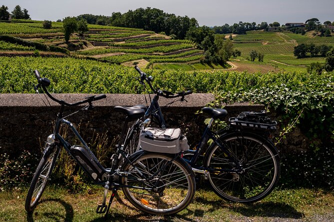Saint-Émilion Wine Tour By Electric Bike, Lunch Included - Just The Basics