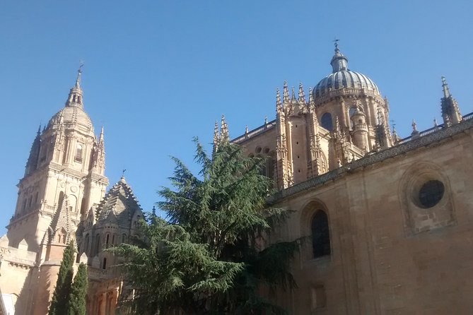 Salamanca Small-Group Tour With a Local Guide - Tour Highlights
