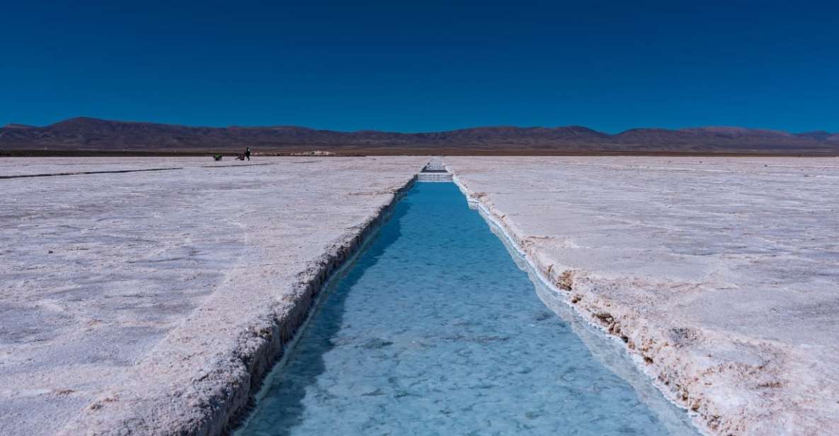 Salta: Cafayate, Cachi, and Salinas Grandes Guided Day Trips - Key Points