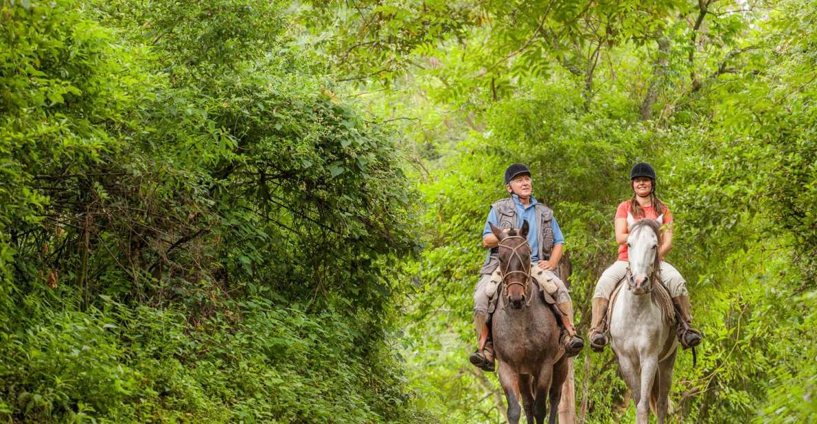 Salta: Horseback Riding in the Mountains - Key Points