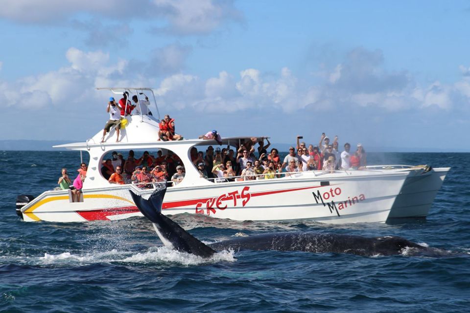 Samana: Whale Watching and Cayo Levantado Full Day Tour - Key Points