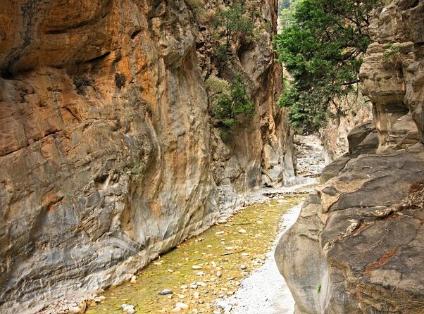 Samaria Gorge Transfer From Chania (Price per Group of 6) - Key Points