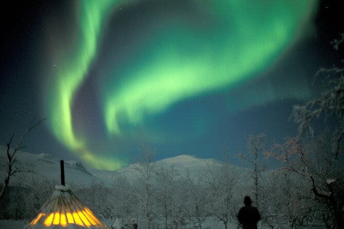 Sami Gourmet Evening With Northern Light - Experience Highlights