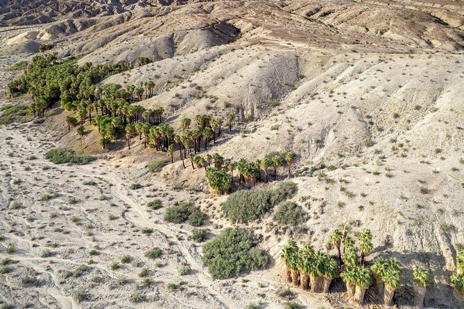 San Andreas Fault Jeep Tour From Palm Desert - Just The Basics