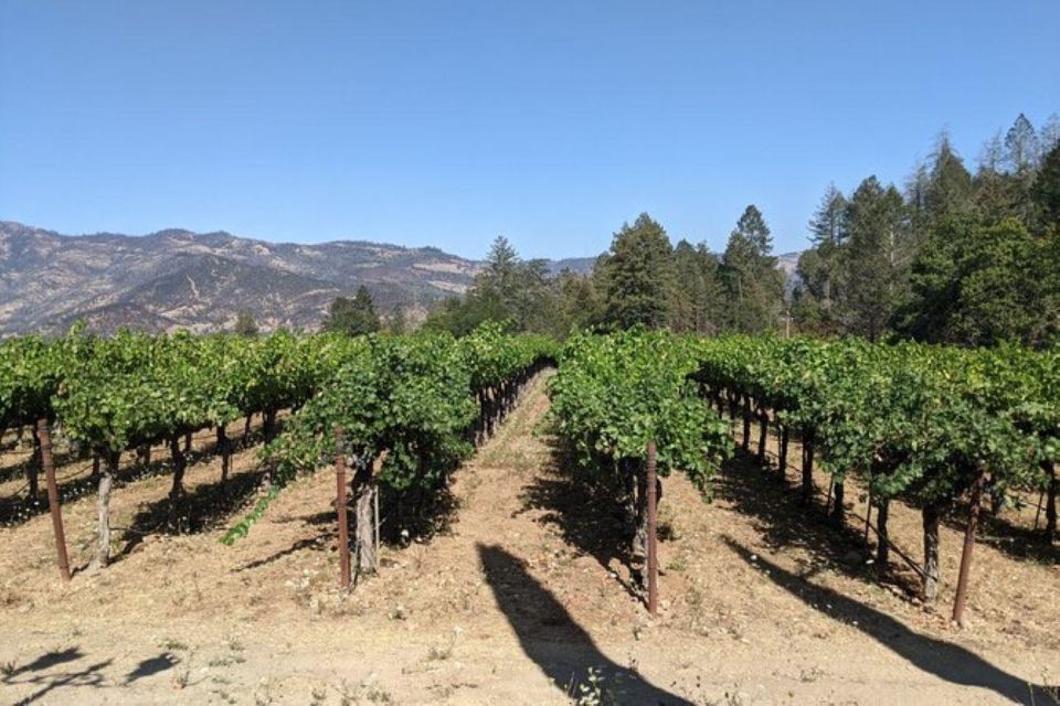San Francisco: Napa and Sonoma Valley Private Wine Tour - Key Points