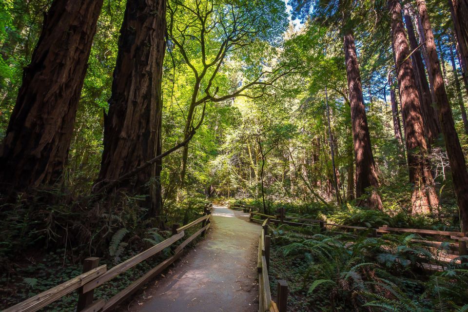 San Francisco, Sausalito and Muir Woods Small Group Tour - Key Points