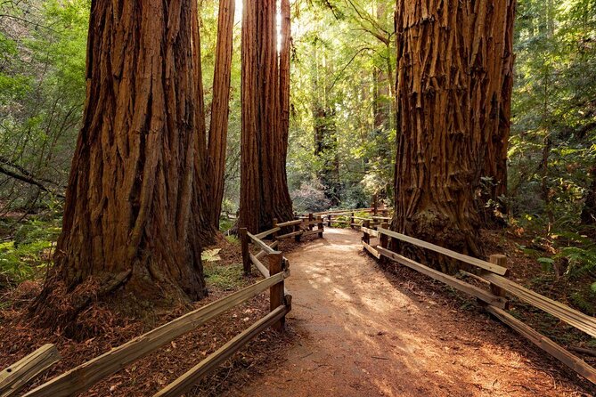San Francisco Super Saver: Muir Woods & Wine Country W/ Optional Gourmet Lunch