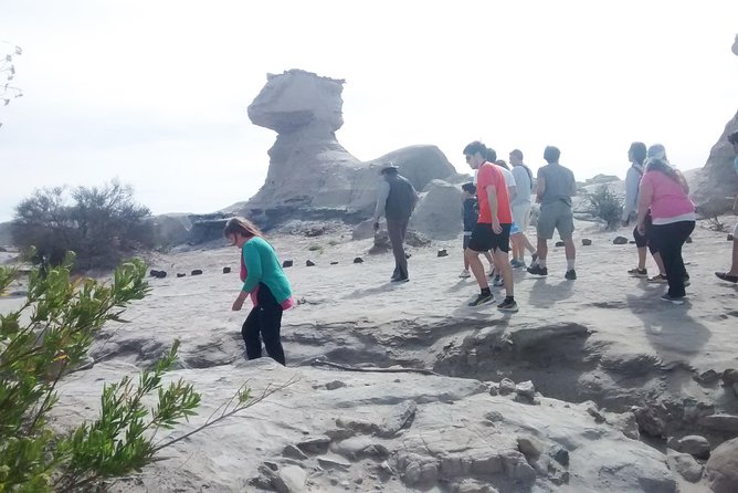 San Juan: Ischigualasto National Park - Moon Valley - Highlights of Ischigualasto National Park