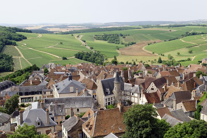 Sancerre & Pouilly-Fumé Wine Tour With Local Goats Cheese and the River Loire - Key Points
