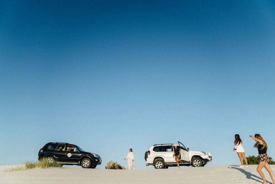 Sand Dune Safaris - Just The Basics