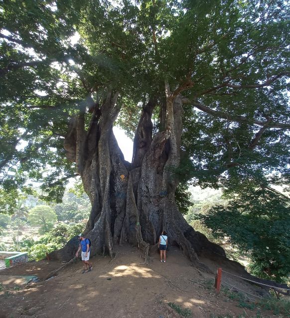 Santiago Island Tour - Key Points