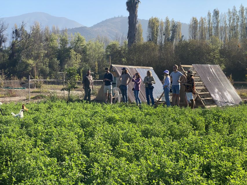 Santiago: Maipo Valley Wine Tasting Tour With 3 Vineyards - Key Points